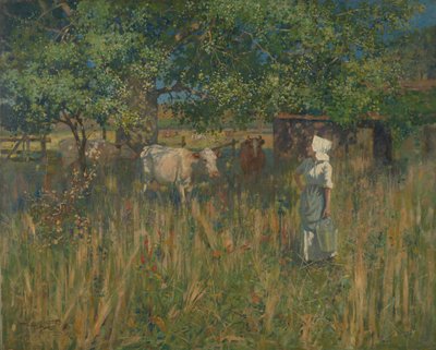 Tess door James McLachlan Nairn